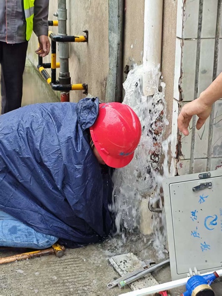 1765934559616060.jpg fe19b738ea870c65f9b02ff323f2cecc_1761037796116623.jpg